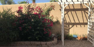 1414 S JESSICA Lane Gallery 17