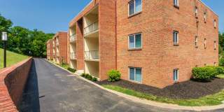 Aspen Village Gallery 64