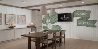 Livano Charlotte Harbor Gallery 42