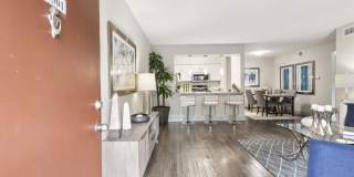 The Adalene Gallery 24