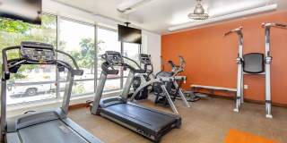 Seasons at Library Square Gallery 14