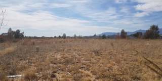 7618 Cat Tail Creek Drive Gallery 22