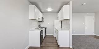 Swift at Riverdale Park Gallery 55