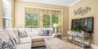 8705 Palm Tree Lane Gallery 2