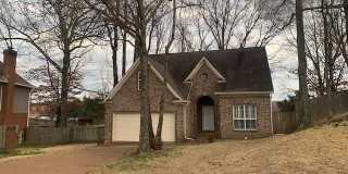 222 WALNUT TRACE Gallery 1