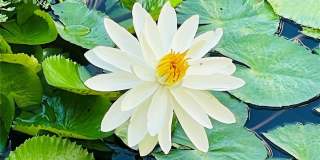 2900 NE 14th Street Causeway unit: 514 Gallery 37