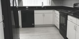 The Monika Gallery 1