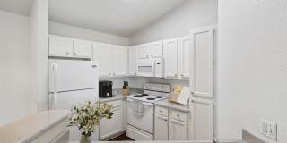 Bella Vita Gallery 1