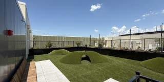 Pearl Springdale Gallery 7