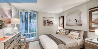 The Meadows - Newly Renovated Gallery 8