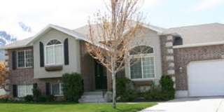 Beautiful 6 Bed 3 bath in Springville!! Gallery 3