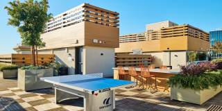 Modera Berkeley Gallery 34