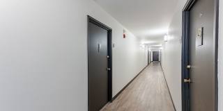 ReNew at the Greens Gallery 16