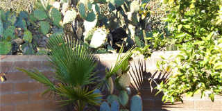 4049 East Via Del Mirlillo Gallery 30