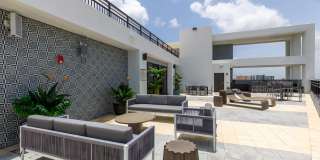 Soleste Spring Gardens Gallery 4