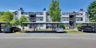Cottonwood Creek Gallery 28