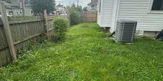Beautiful Newly Renovated Home 4 BEDROOM 2 BATH Gallery 21