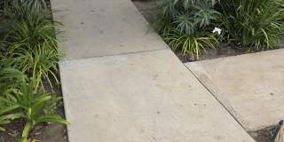 2256 Maple Street Gallery 1