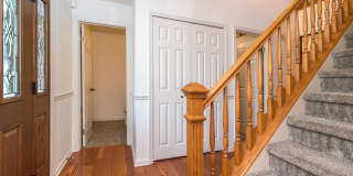 100 LIVE OAK Drive Gallery 8