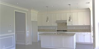 132 Island Coral Gallery 11