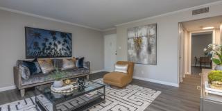 Palmera at Gandy Gallery 3