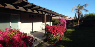 68175 Encinitas Road Gallery 15