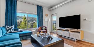 The Revival Gallery 85