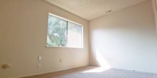 Beautiful 3 bedroom in Scotts Valley Gallery 16
