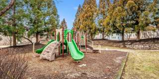 3907 BRAVEHEART Circle Gallery 57