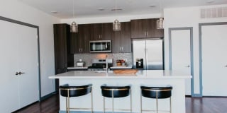 Tanager Tanager Gallery 62