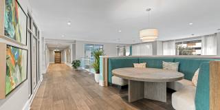 Juno Winter Park Gallery 17