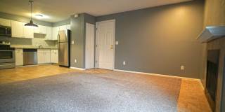 Wonderful 2 bed / 1 bath in Denver Gallery 1