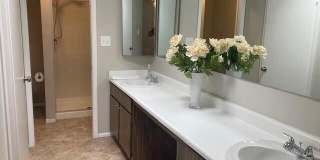 25858 S New Town Drive Gallery 14