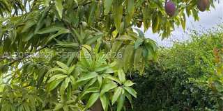 7888 SW 195 Ter Gallery 78