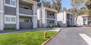 Ocean Vista Gallery 15