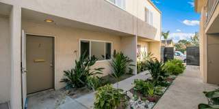 Flallon Apartments Gallery 1