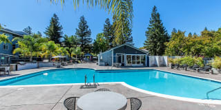 Avana Almaden Gallery 1