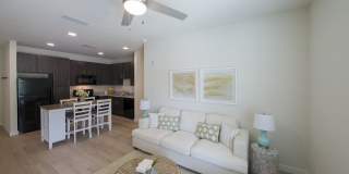 Madison Palms Gallery 11