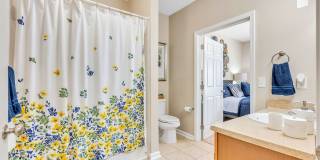 Emerald Ridge Gallery 8