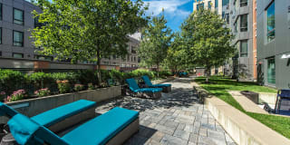 The Victor by Windsor Gallery 29