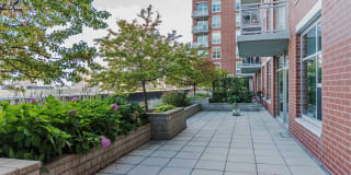 Roosevelt Collection Lofts Gallery 6