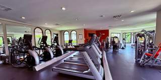 TGM Bermuda Island Gallery 19