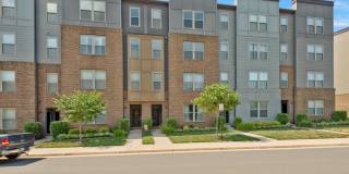 10475 RATCLIFFE Trail Gallery 1