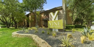 Vine on North Park Vine on North Park Gallery 22