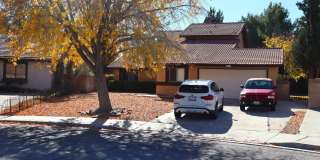 3840 Sago Street Gallery 1