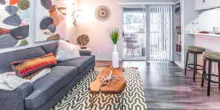 Treehouse Treehouse Gallery 4