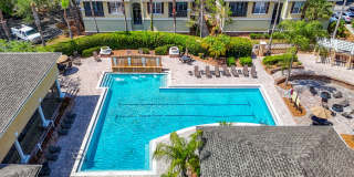 Beautiful 2BR Condo in Desirable Courtney Palms Gallery 4