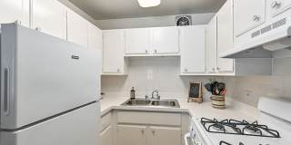 Harbor Lake Gallery 8