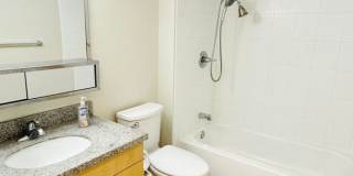 Diamond in the rough 1 bedroom with den in Honolulu! Gallery 8