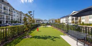 Ridley at Waterset Gallery 31